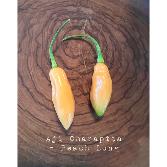 Aji Charapita Peach (large)  Hot Pepper Seeds