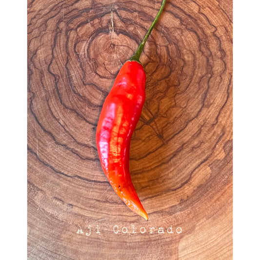 Aji Colorado - Hot Pepper Seeds