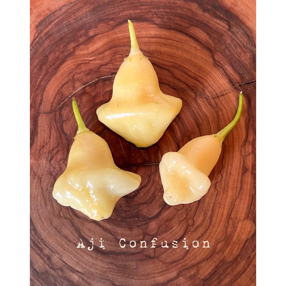 Aji Confusion - Hot Pepper Seeds