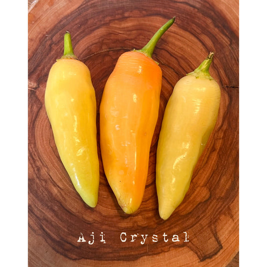 Aji Crystal - Hot Pepper Seeds