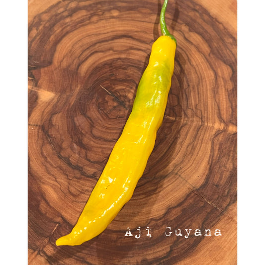 Aji Guyana - Hot Pepper Seeds