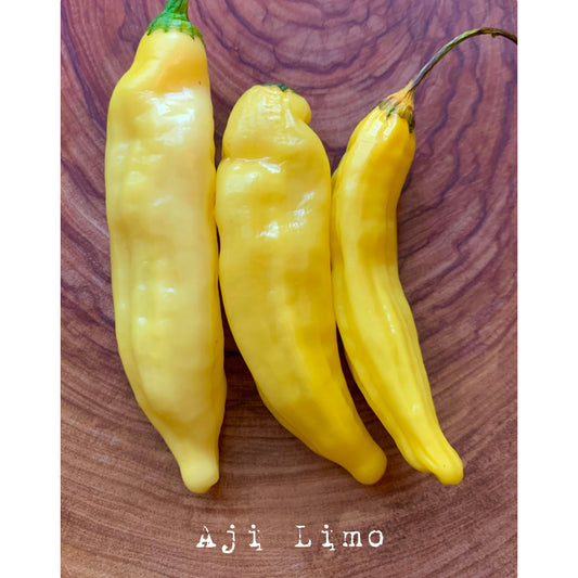 Aji Limo - Hot Pepper Seeds
