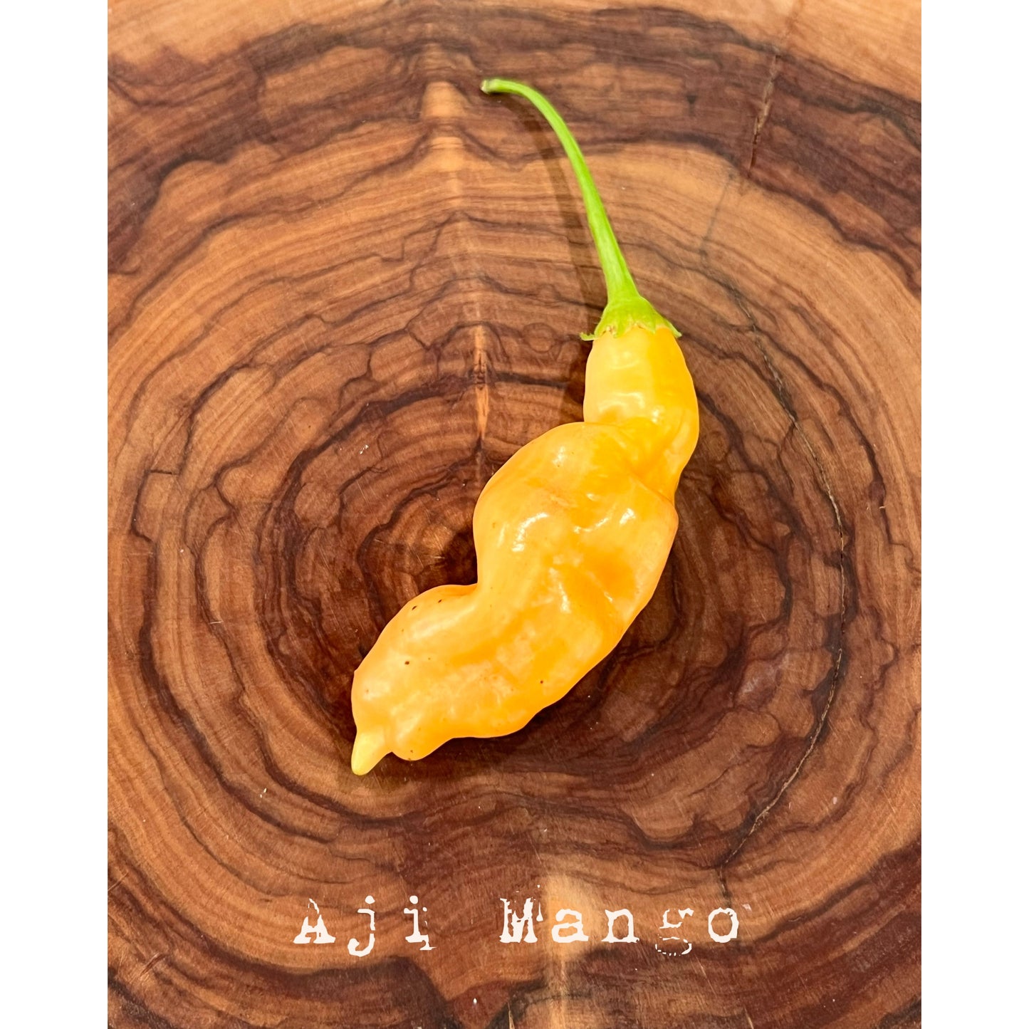 Aji Mango - Hot Pepper Seeds