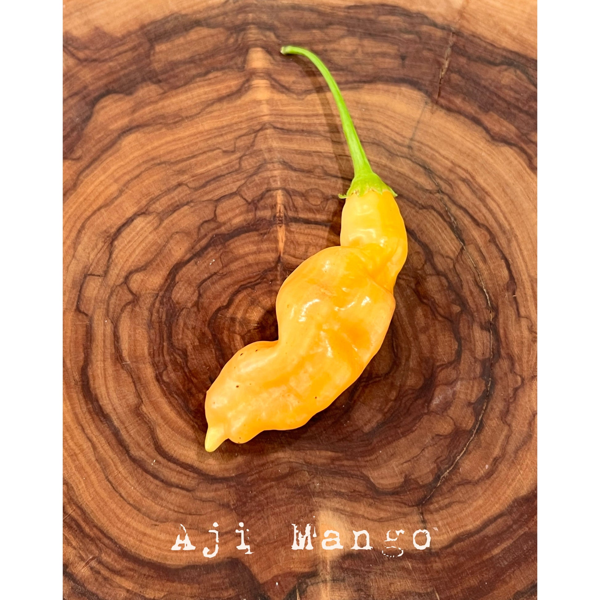 Aji Mango - Hot Pepper Seeds