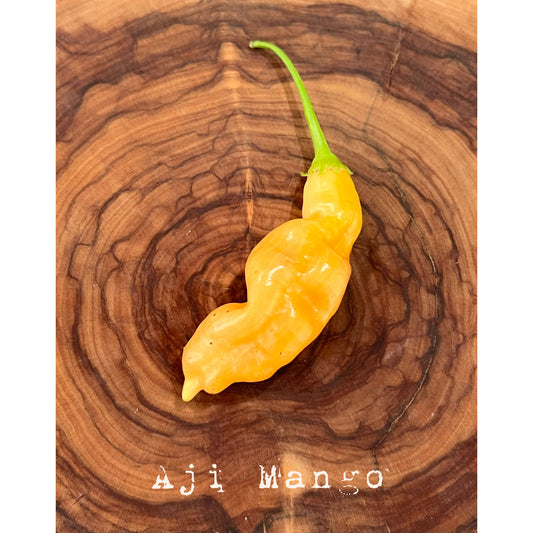 Aji Mango - Hot Pepper Seeds