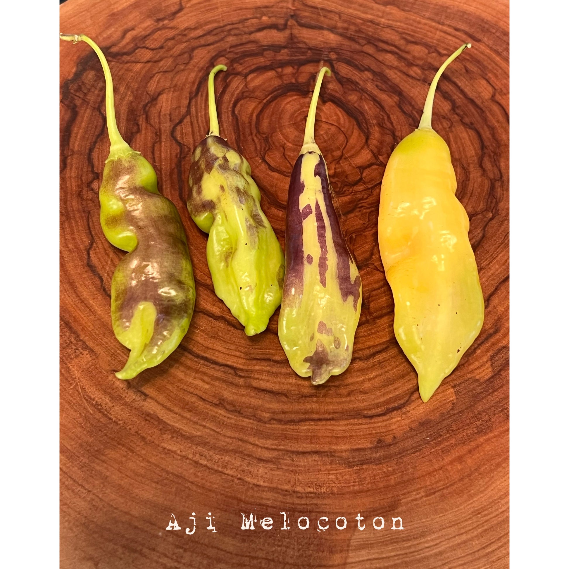 Aji Melocoton - Hot Pepper Seeds