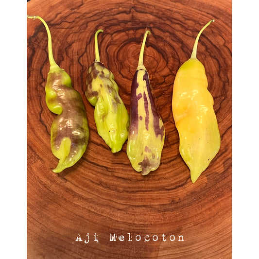 Aji Melocoton - Hot Pepper Seeds
