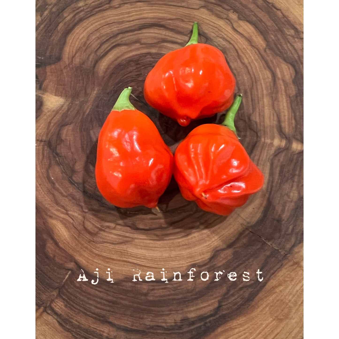 Aji Rainforest - Hot Pepper Seeds