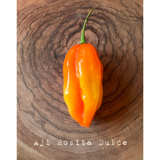 Aji Rosita Dulce - Hot Pepper Seeds