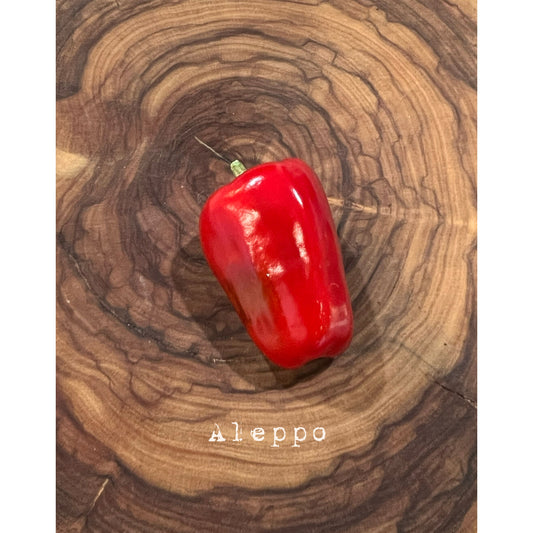 Aleppo - Hot Pepper Seeds