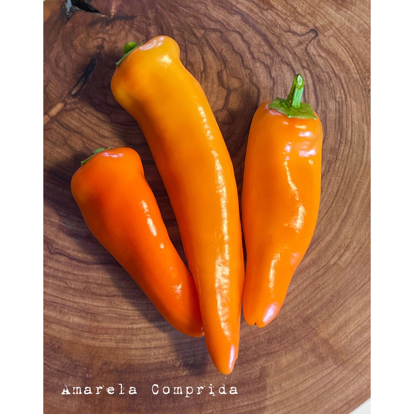 Amarela Comprida - Hot Pepper Seeds