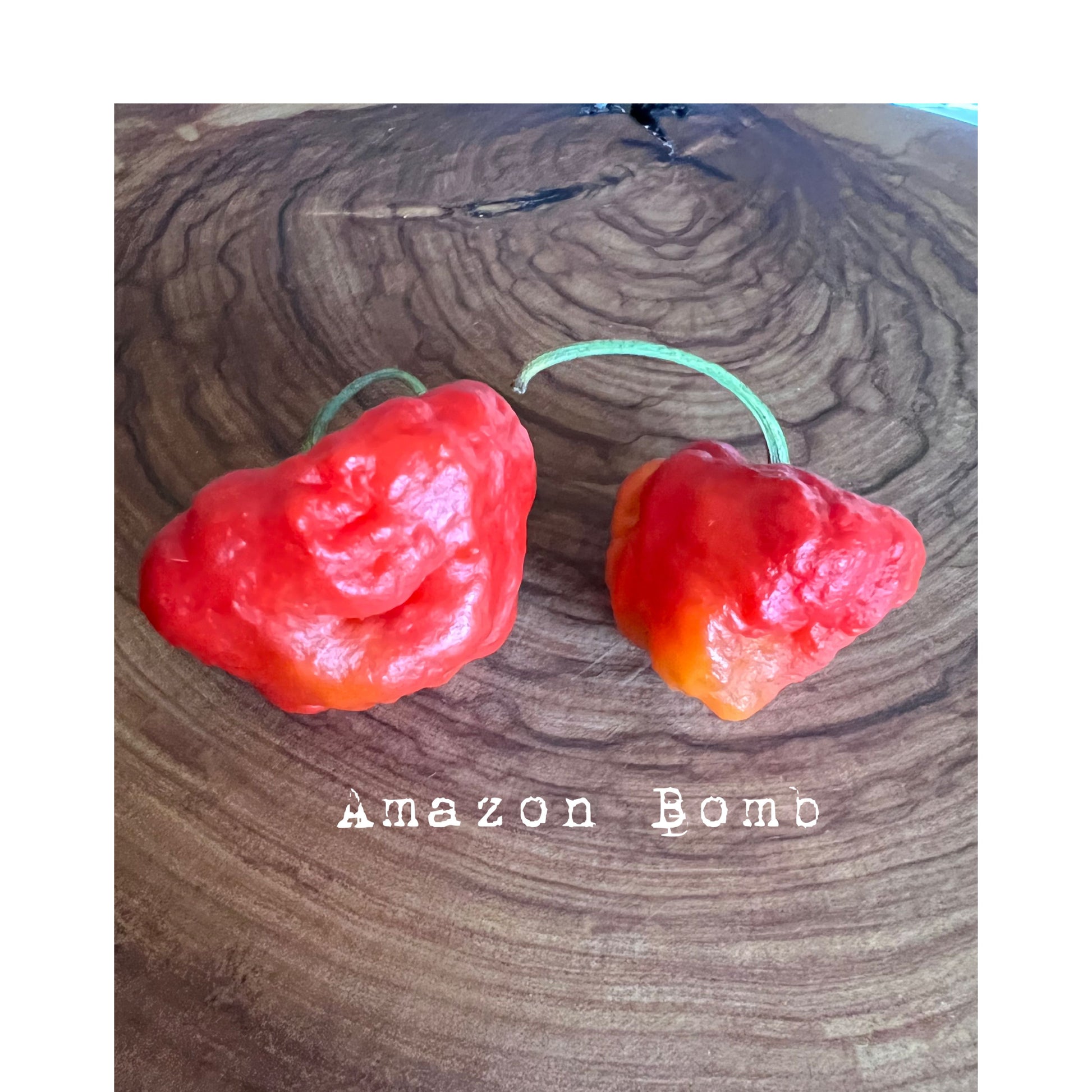 Amazon Bomb - Hot Pepper Seeds