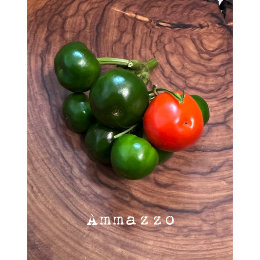 Ammazzo - Hot Pepper Seeds