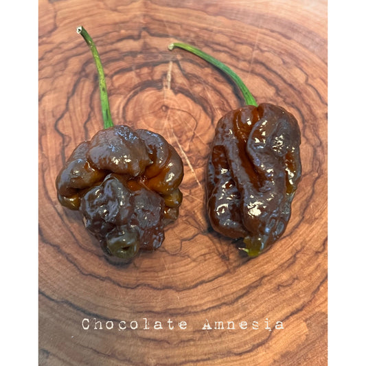 Amnesia - Chocolate - Hot Pepper Seeds
