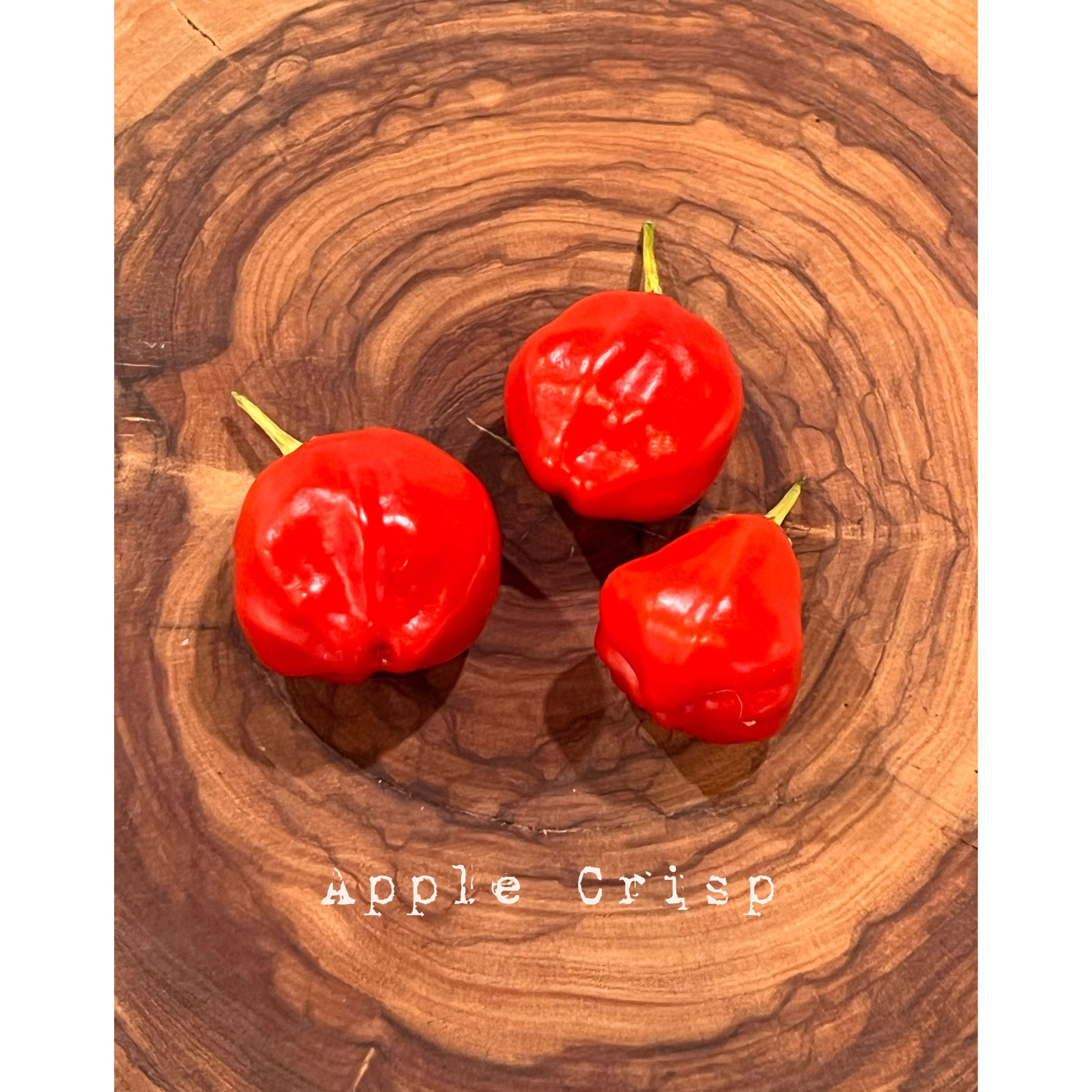 Apple Crisp - Hot Pepper Seeds