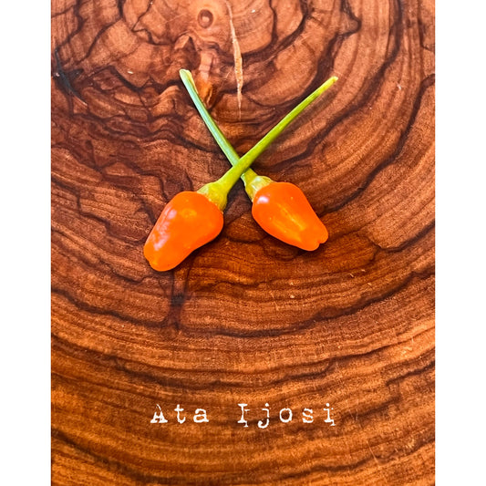 Ata Ijosi - Hot Pepper Seeds