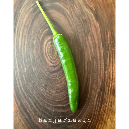 Banjarmasin Hot Pepper Seeds