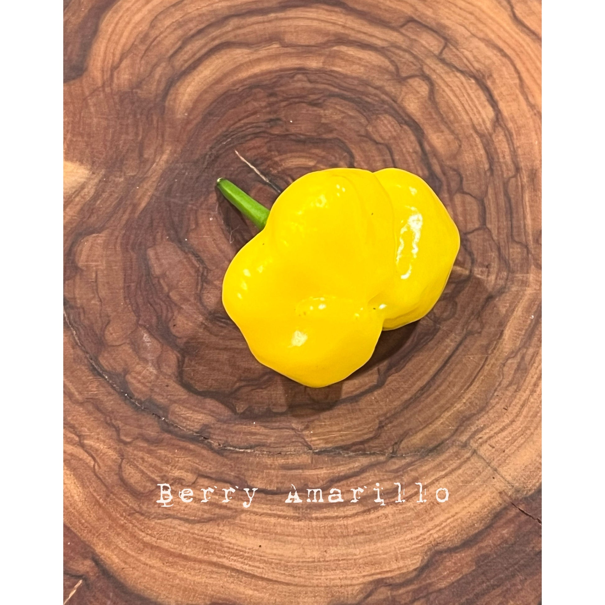 Berry Amarillo - Hot Pepper Seeds