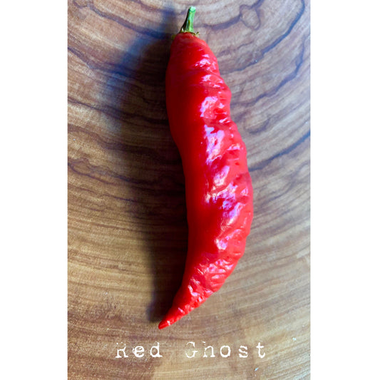 Bhut Jolokia Red - Red Ghost - Hot Pepper Seeds