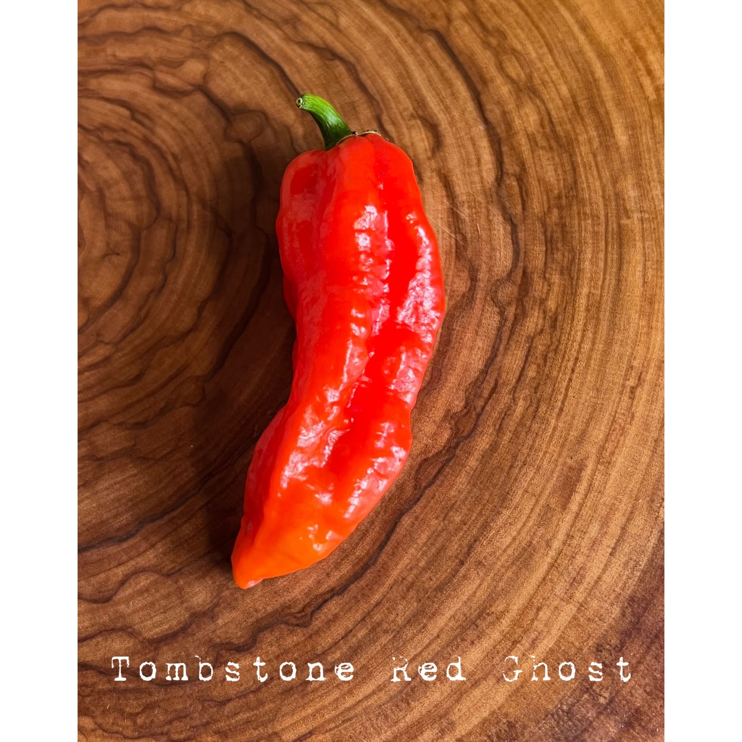 Bhut Jolokia Tombstone Red - Tombstone Red Ghost - Hot Pepper Seeds