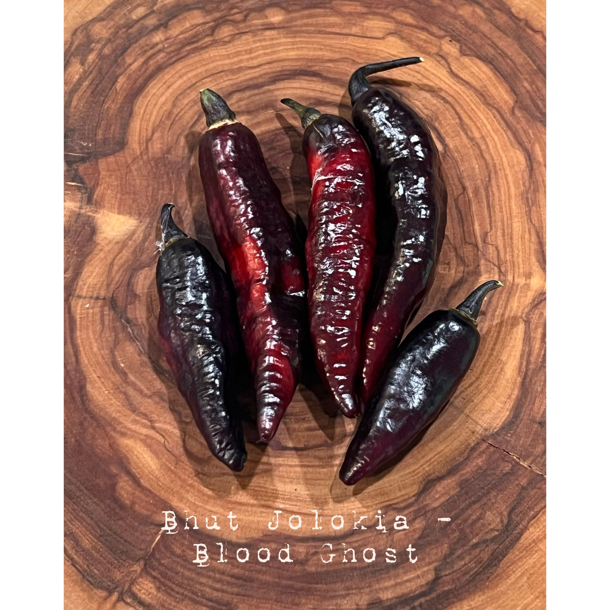 Bhut Jolokia - Blood Ghost - Hot Pepper Seeds