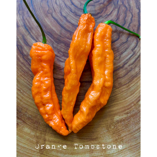 Bhut Jolokia Tombstone Orange - Tombstone Orange Ghost - Hot Pepper Seeds