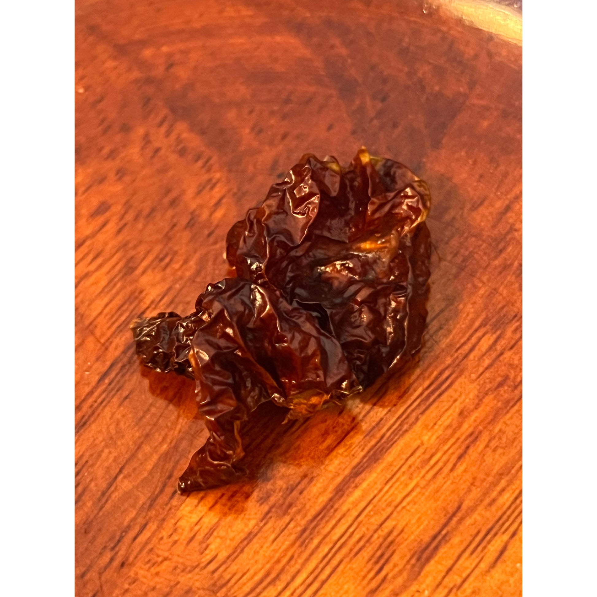 Bhutlah Chocolate - Hot Pepper Seeds