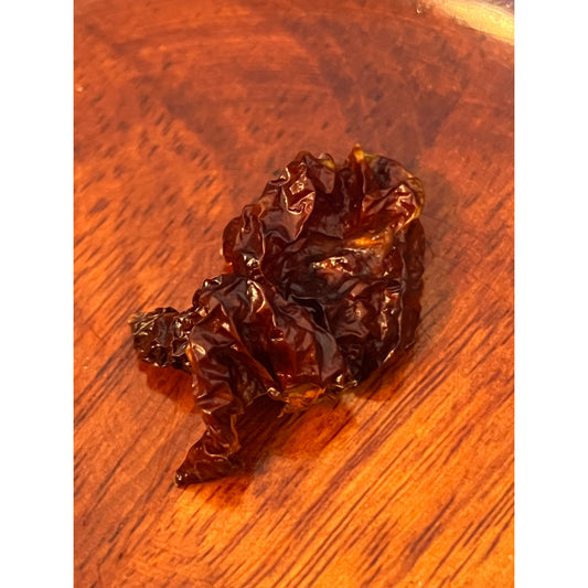 Bhutlah Chocolate - Hot Pepper Seeds