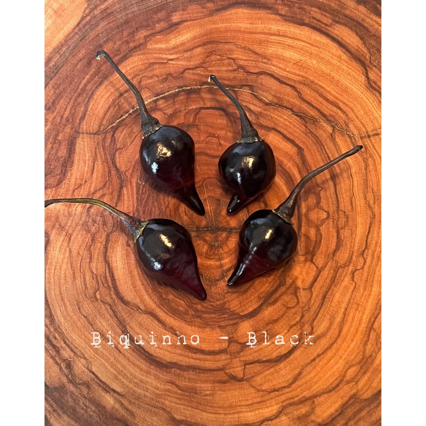 Biquinho - Black - Hot Pepper Seeds