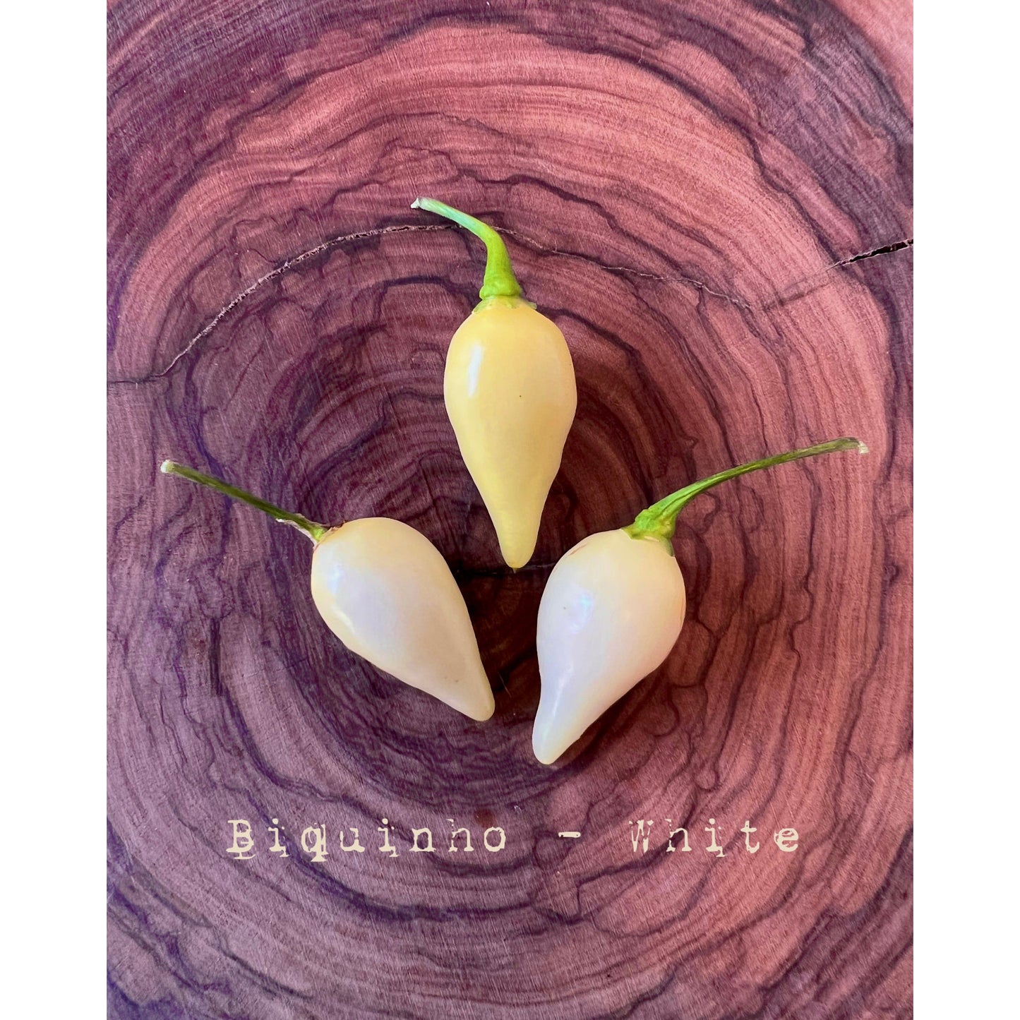 Biquinho - White - Hot Pepper Seeds