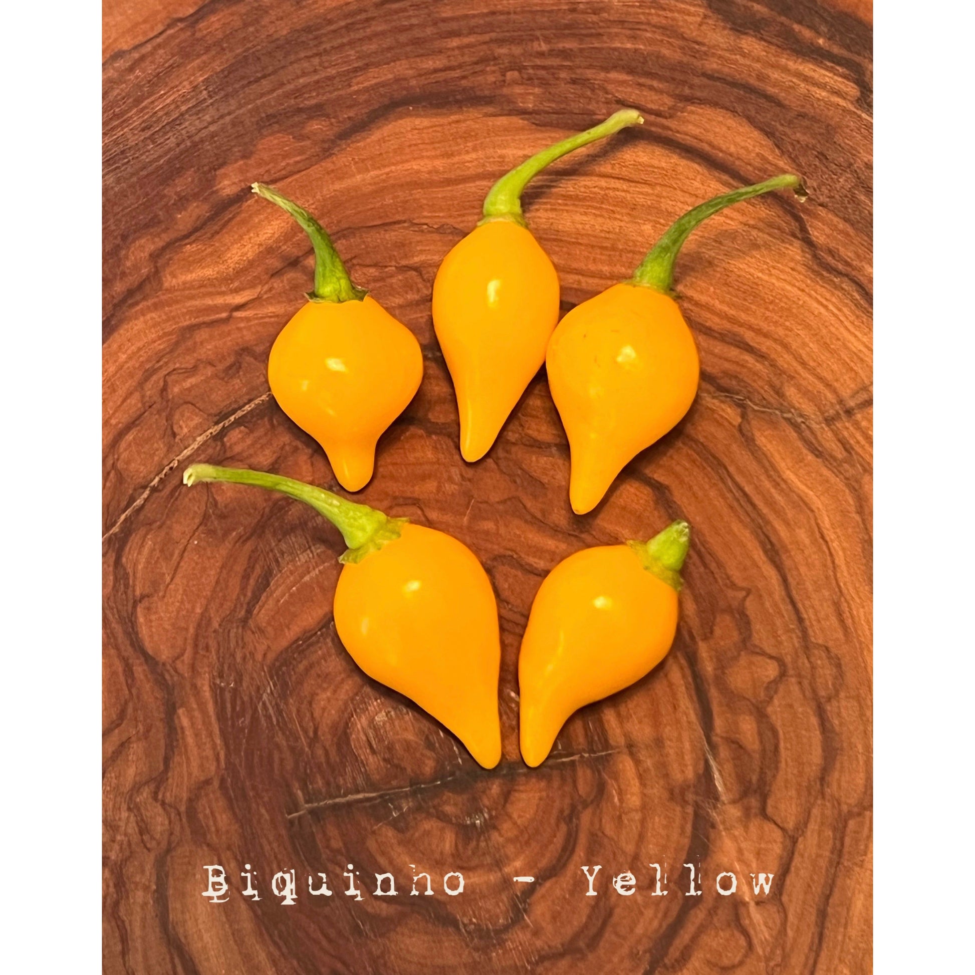 Biquinho - Yellow - Hot Pepper Seeds