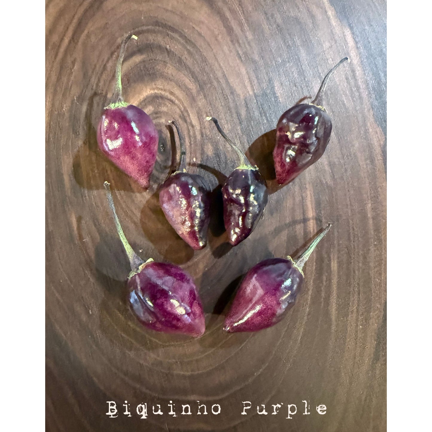 Biquinho - Purple Hot Pepper Seeds