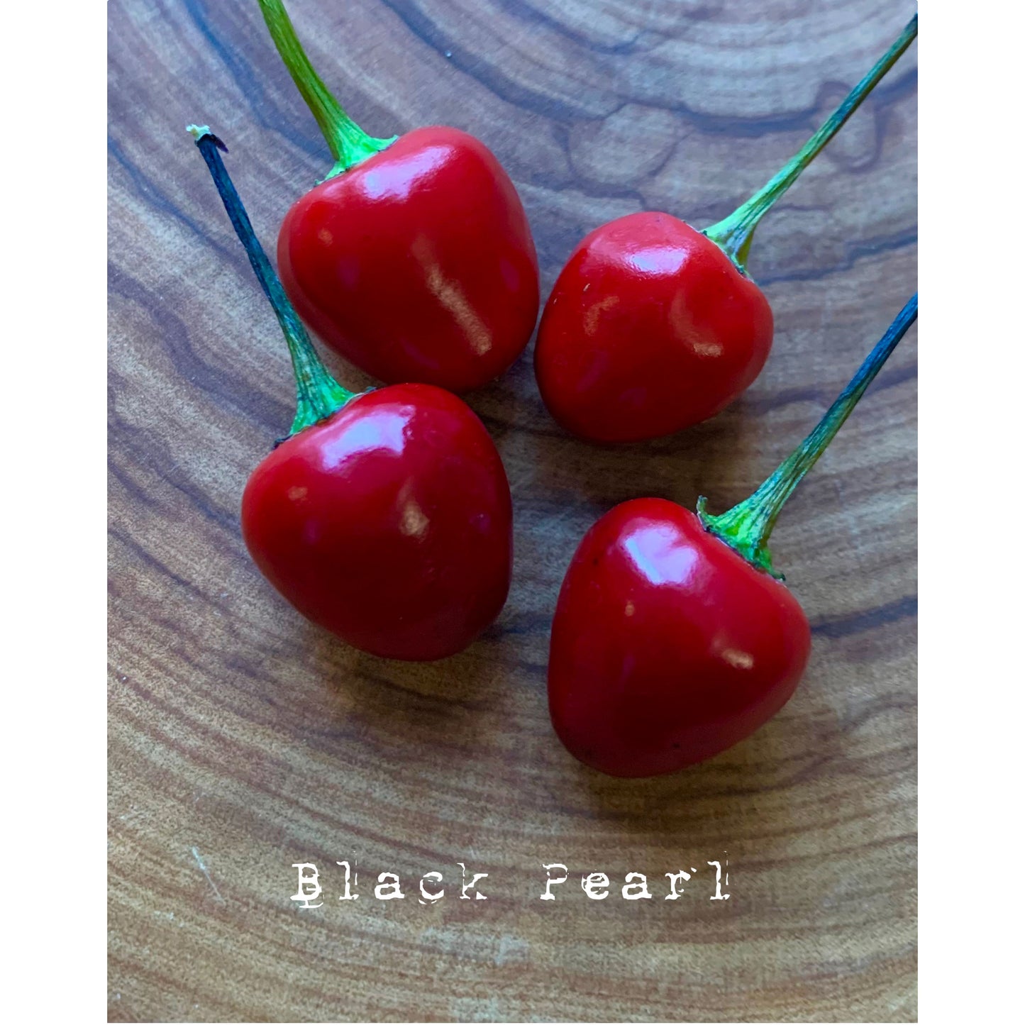 Black Pearl - Hot Pepper Seeds
