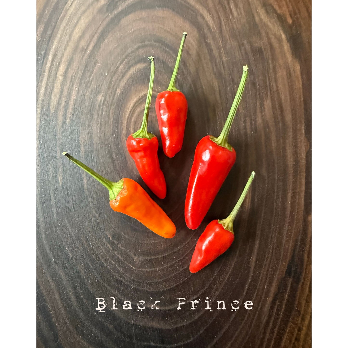 Black Prince Hot Pepper Seeds
