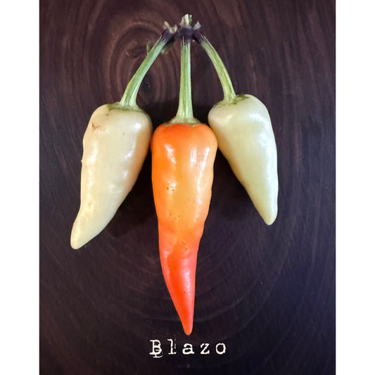 Blazo Hot Pepper Seeds