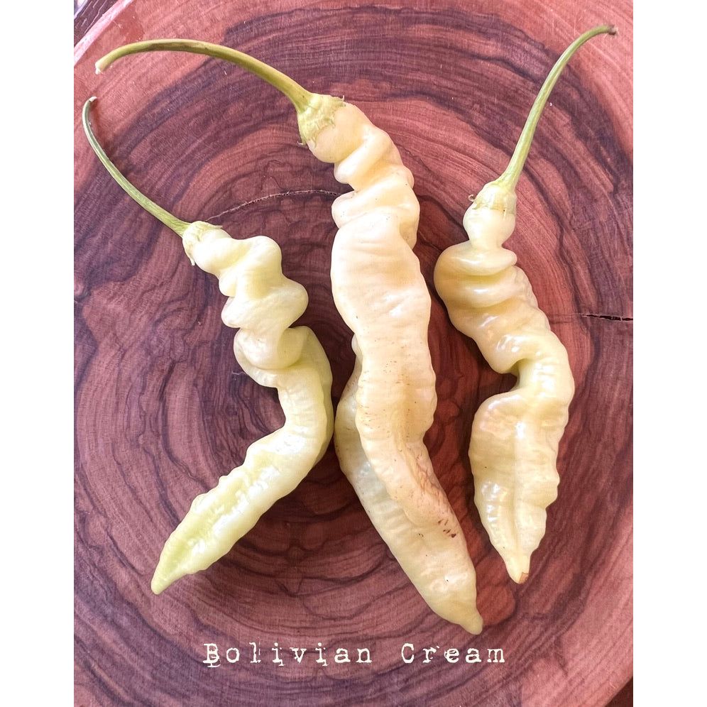 Bolivian Cream - Hot Pepper Seeds