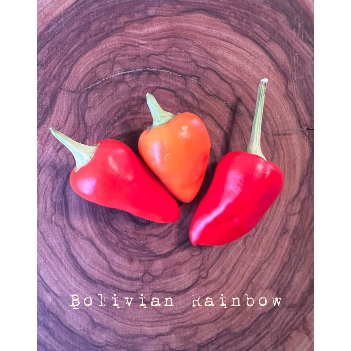 Bolivian Rainbow - Hot Pepper Seeds