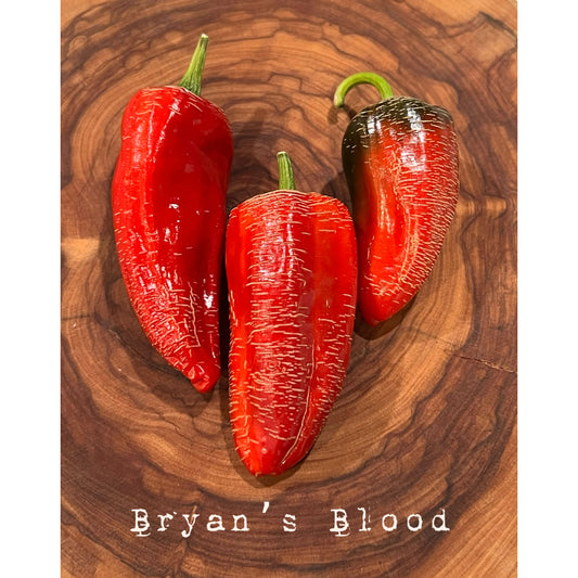 Bryan's Blood - Hot Pepper Seeds