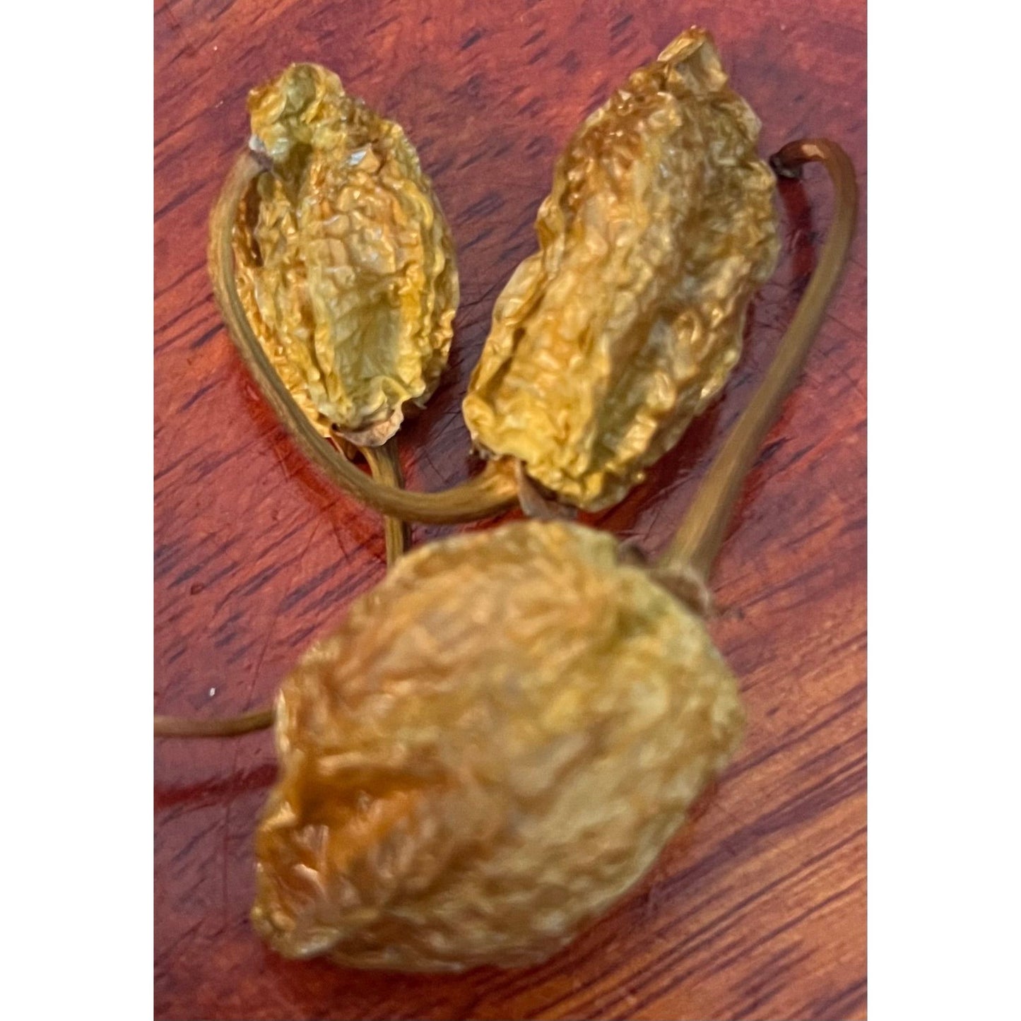 Burkina Yellow Scotch Bonnet - Hot Pepper Seeds