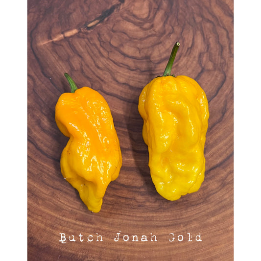 Butch T Jonah Gold - Hot Pepper Seeds