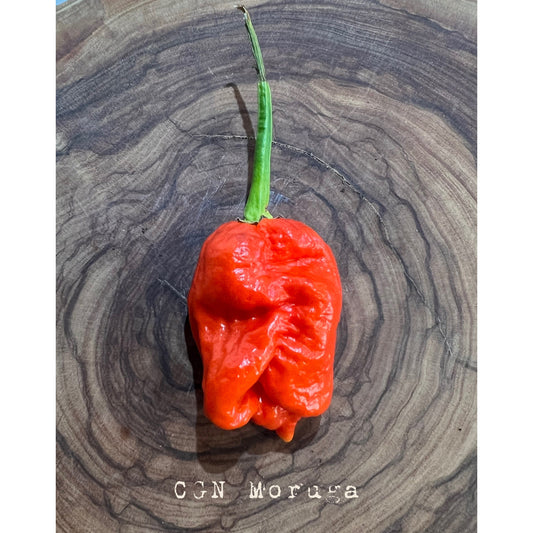 CGN Moruga - Hot Pepper Seeds