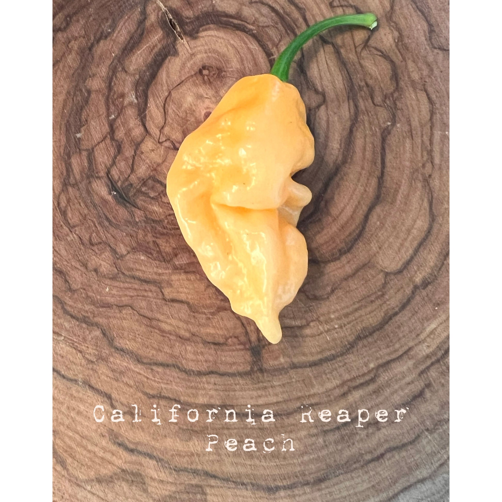 California Reaper - Peach - Hot Pepper Seeds