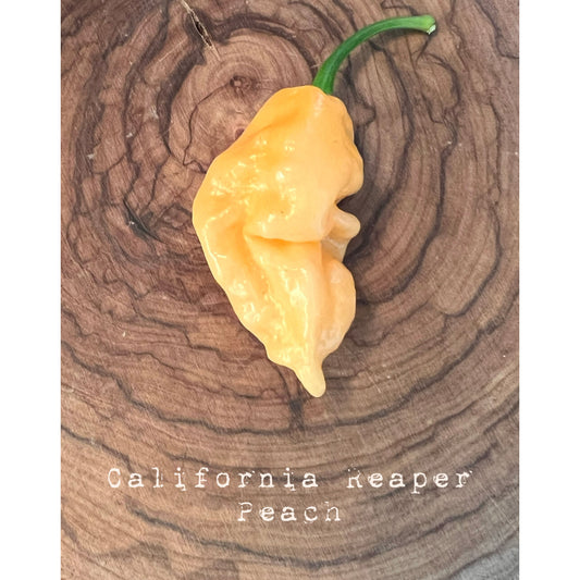 California Reaper - Peach - Hot Pepper Seeds