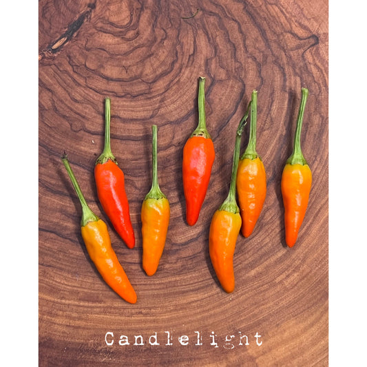 Candlelight - Hot Pepper Seeds