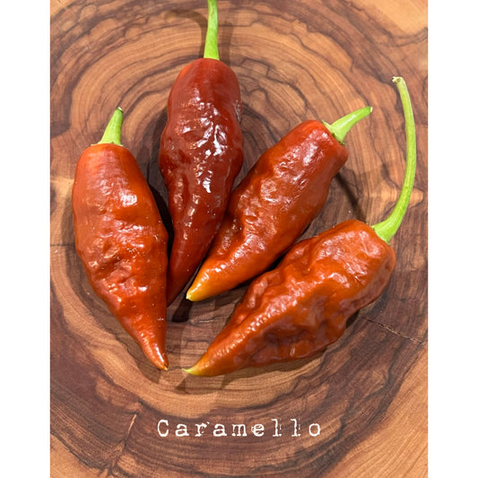 Caramello - Hot Pepper Seeds