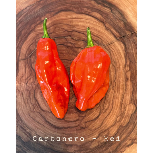 Carbonero -Red - Hot Pepper Seeds