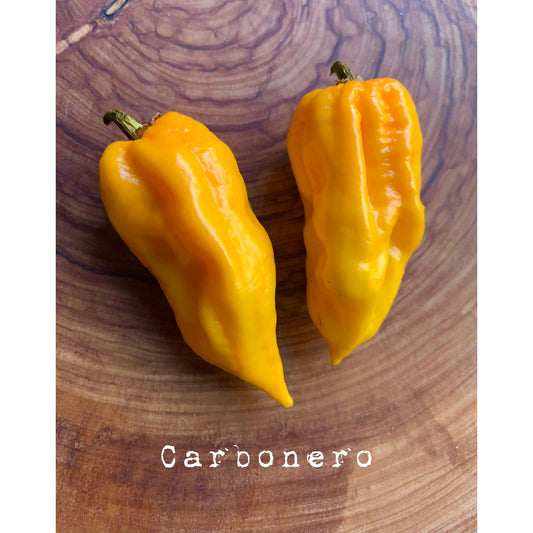 Carbonero -Yellow - Hot Pepper Seeds