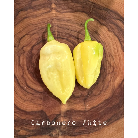 Carbonero -White - Hot Pepper Seeds