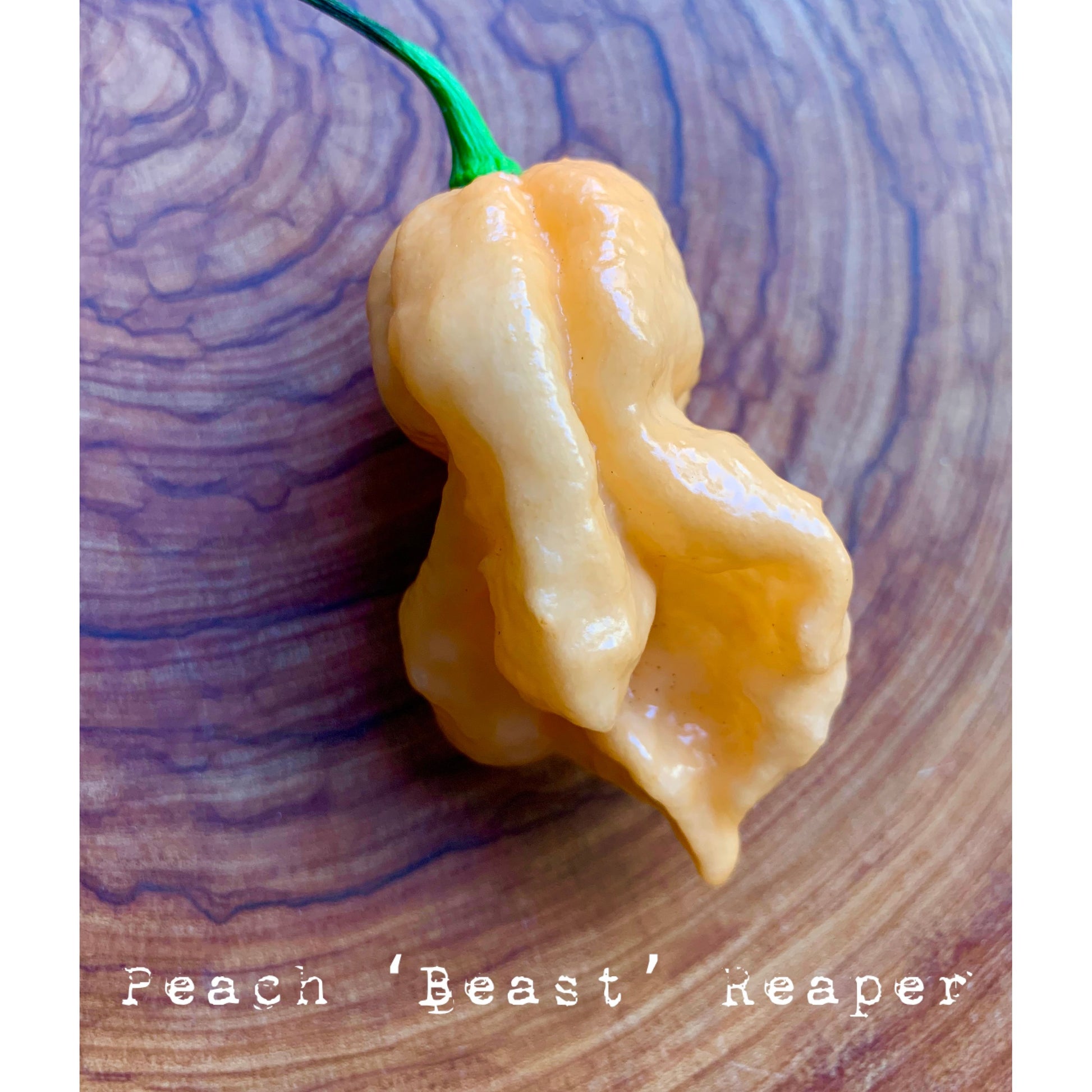 Carolina Reaper - Peach XL - Hot Pepper Seeds