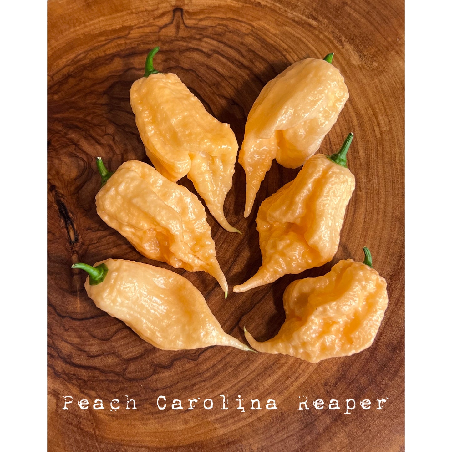 Carolina Reaper - Peach - Hot Pepper Seeds